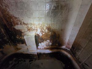 Dirty Tub Before - Bio Decon Solutions Dirty Tub Before
