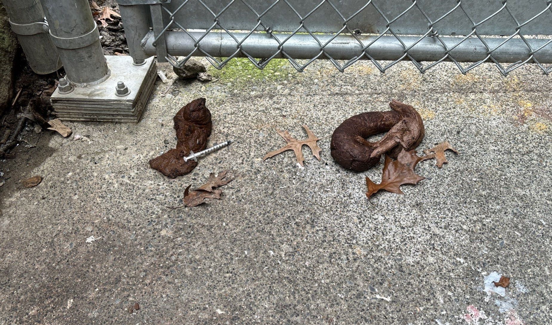 human waste cleanup