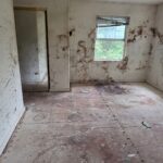 Abandoned, empty room with stained walls, peeling paint, and a dirty plywood floor; three windows let in light from outside.