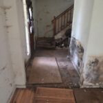 Dilapidated hallway inside an old house with peeling walls, a wooden staircase in the background, and scattered debris on the floor.