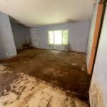 Basement room with peeling blue paint, dirty water-stained concrete floor, and a small window; overall appears water-damaged and neglected.