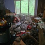 Messy storage room with a metal wire crate, scattered boxes and bags, and a large green trash bin near a window with green foliage outside.
